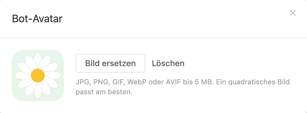 Fenster für das Bot-Avatar: Bild mit den Schaltflächen „Bild ersetzen“ und „Löschen“