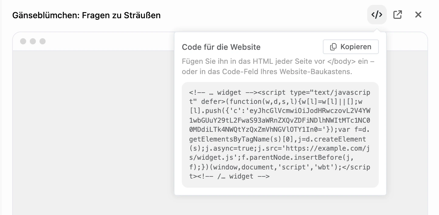 Das Fenster „Code für die Website“ im Panel des Widgets