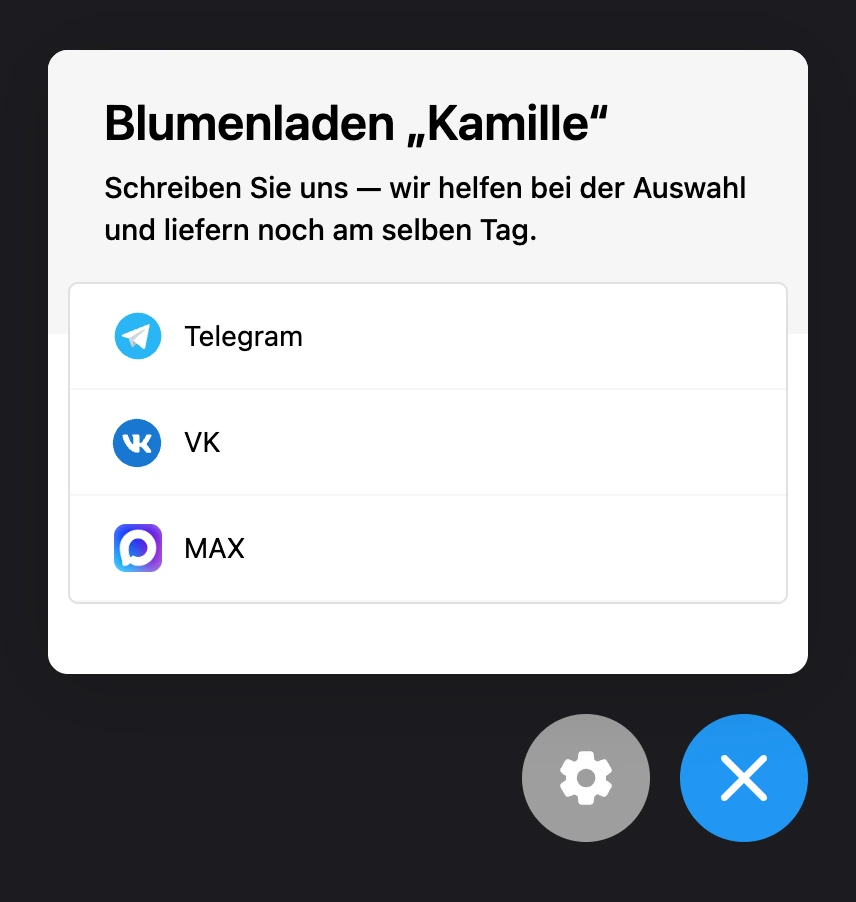 Widget auf der Website: Titel, Beschreibung und Messenger-Links