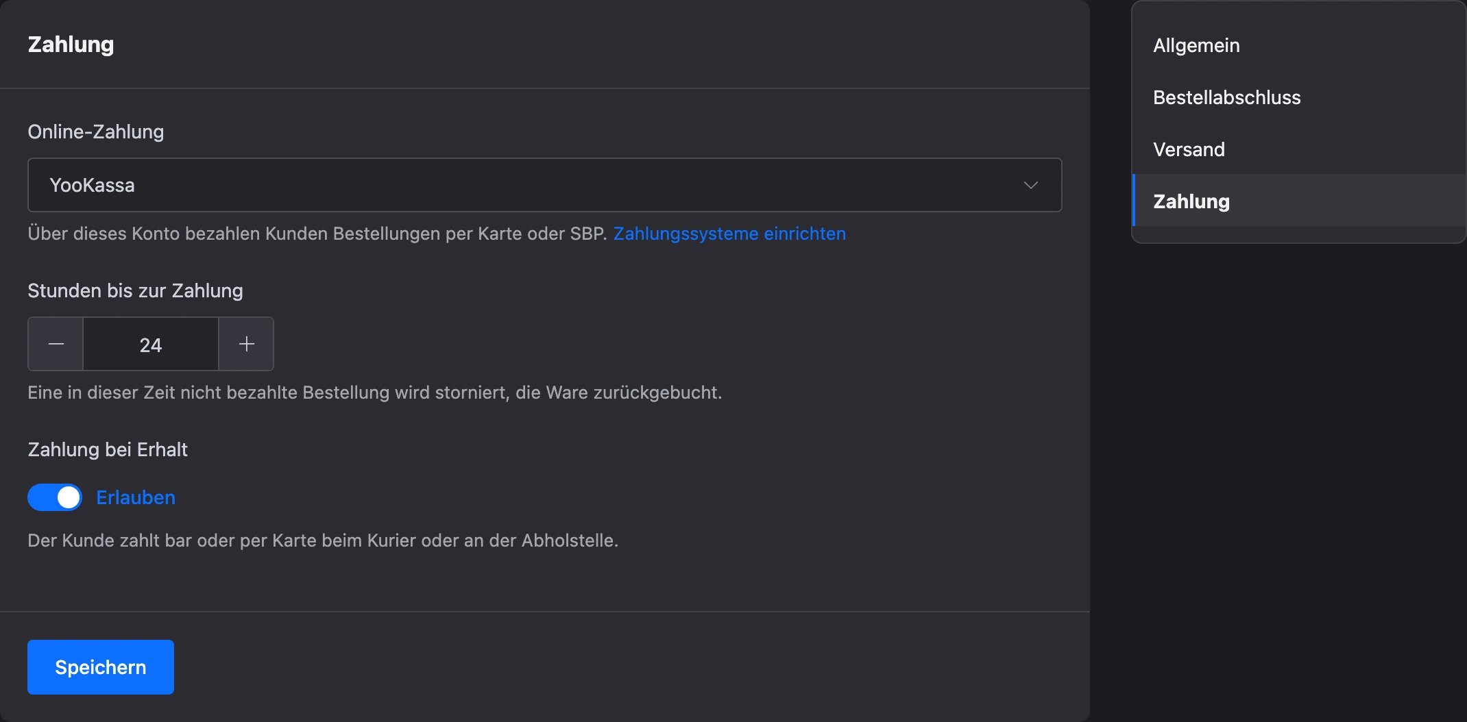 Zahlungseinstellungen des Shops