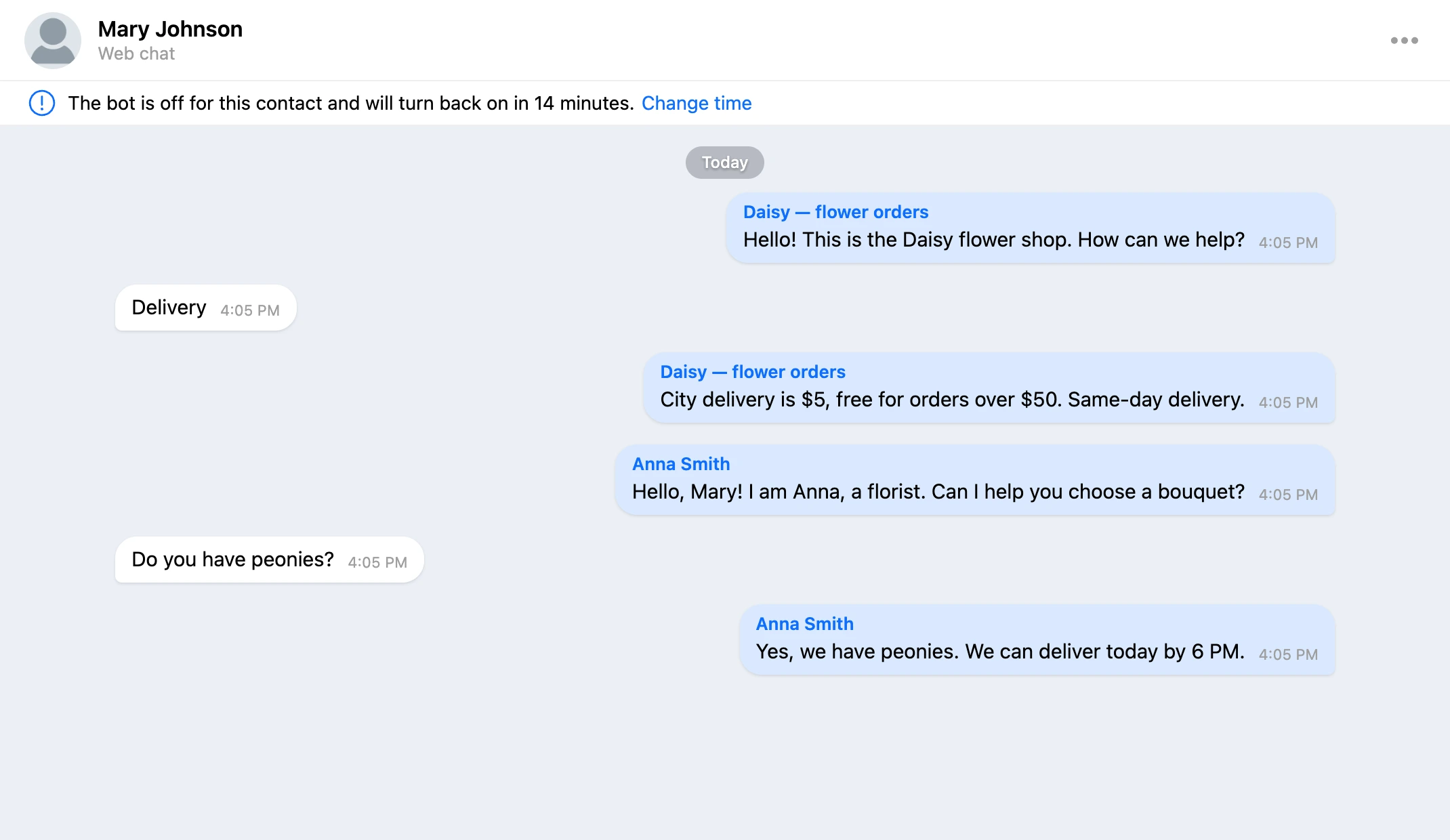 Conversation as bubbles: the person's messages on the left, replies from the bot and a team member on the right