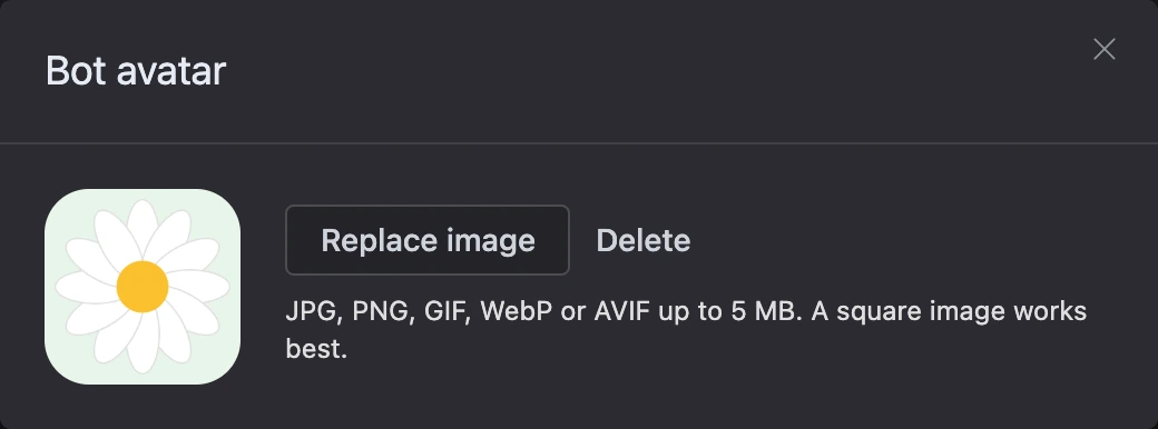 The bot avatar window: the picture with Replace picture and Delete buttons