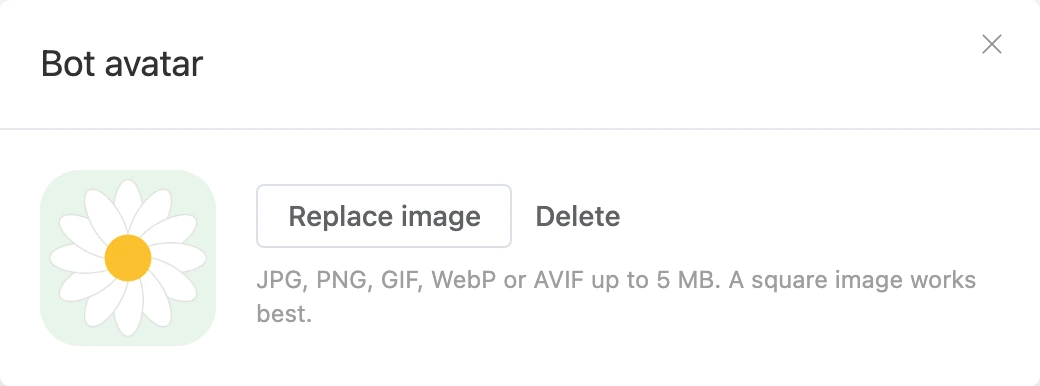 The bot avatar window: the picture with Replace picture and Delete buttons