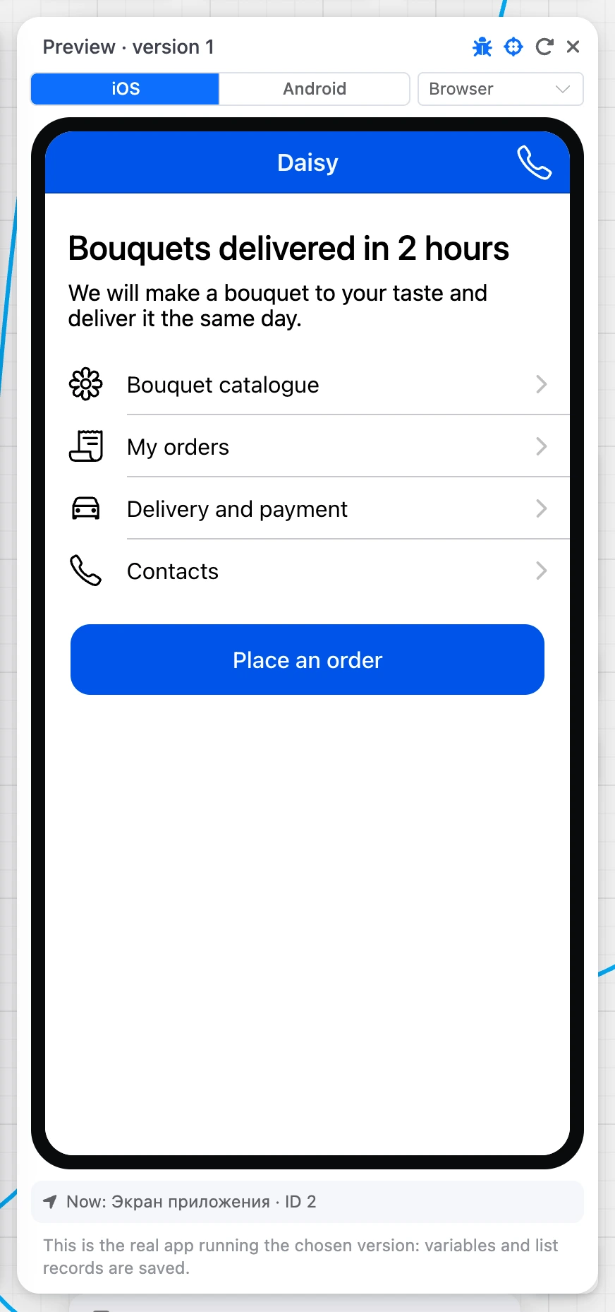 The Preview panel with the app
