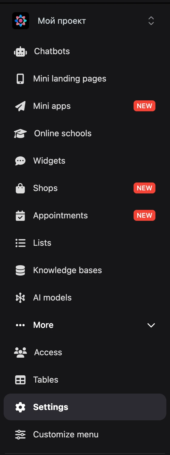 The project menu with the More group expanded