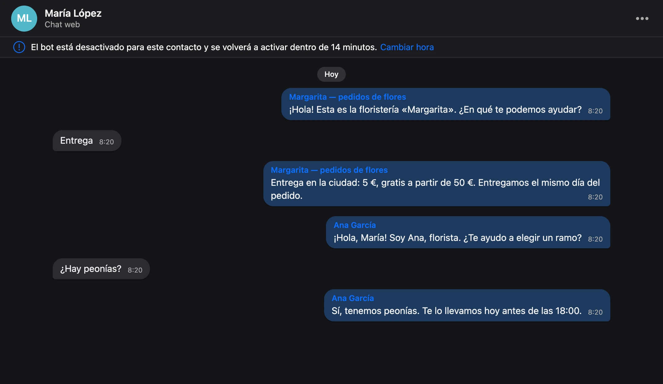 Conversación como burbujas: los mensajes de la persona a la izquierda, las respuestas del bot y de un miembro del equipo a la derecha