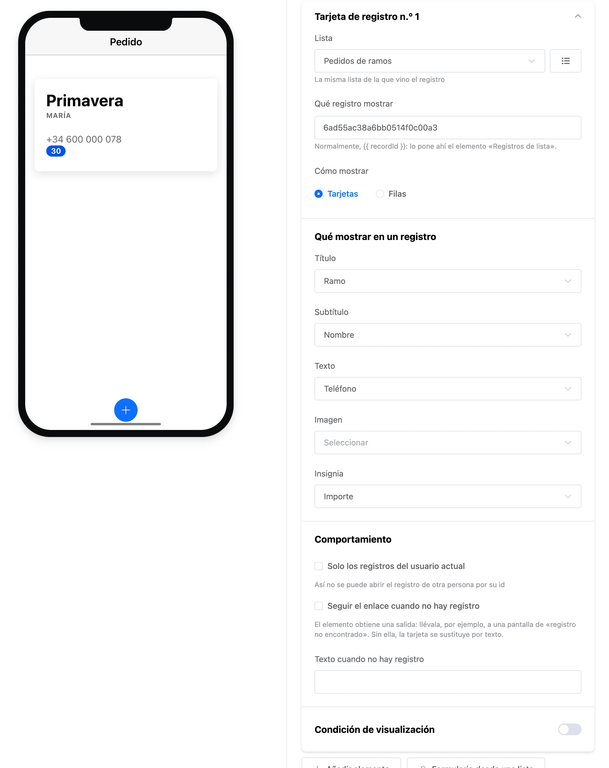 El elemento «Tarjeta de registro»: un pedido en la pantalla y la configuración del elemento