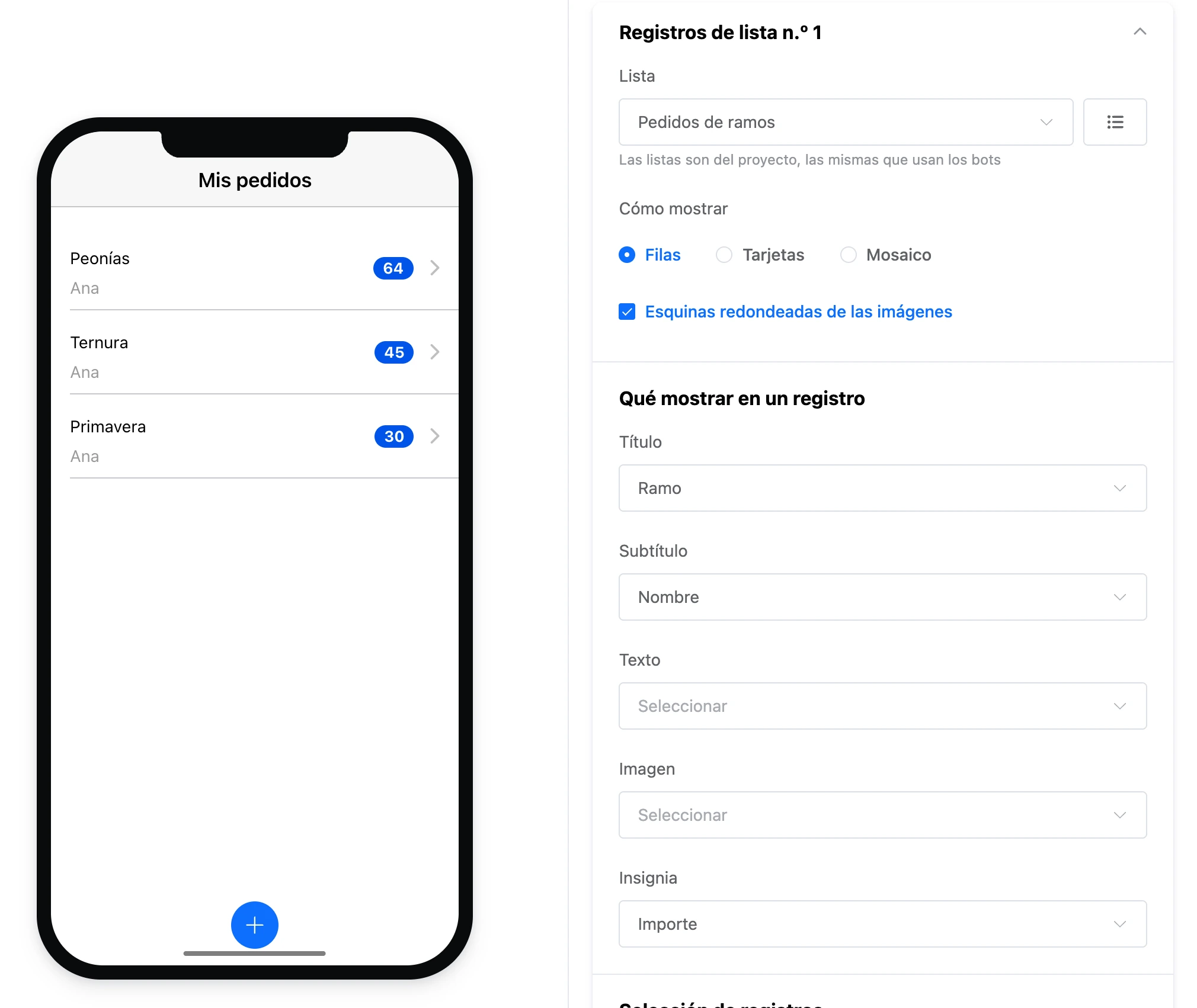 Elemento Registros de lista: qué mostrar, filtrado y orden
