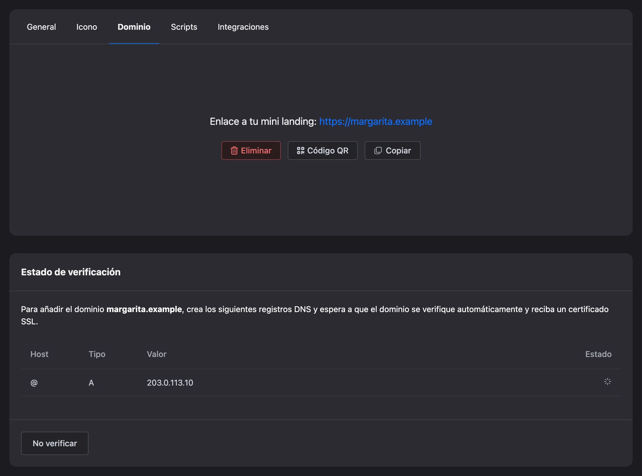 Dominio añadido: estado de verificación y el registro DNS